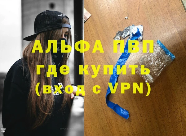 apvp Гусиноозёрск