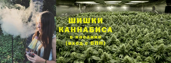 apvp Гусиноозёрск