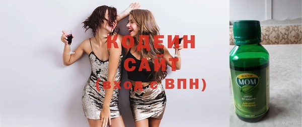 apvp Гусиноозёрск