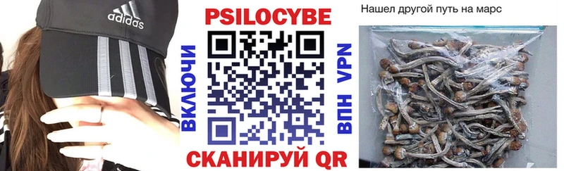 купить наркотики цена  площадка какой сайт  Галлюциногенные грибы мицелий  Рузаевка 