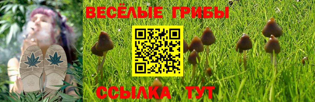 Гашиш Рузаевка