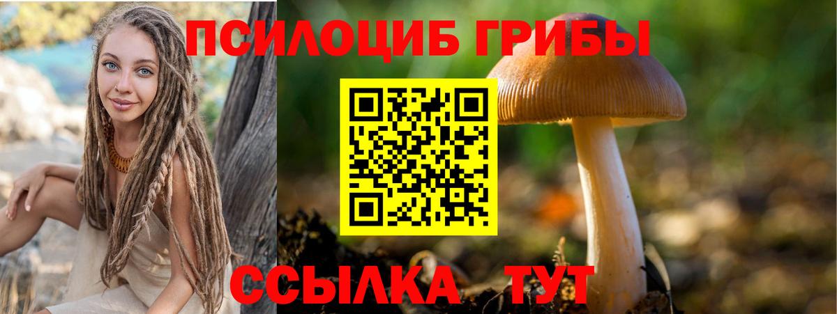 Рузаевка  Псилоцибиновые грибы Magic Shrooms  Вход с VPN 